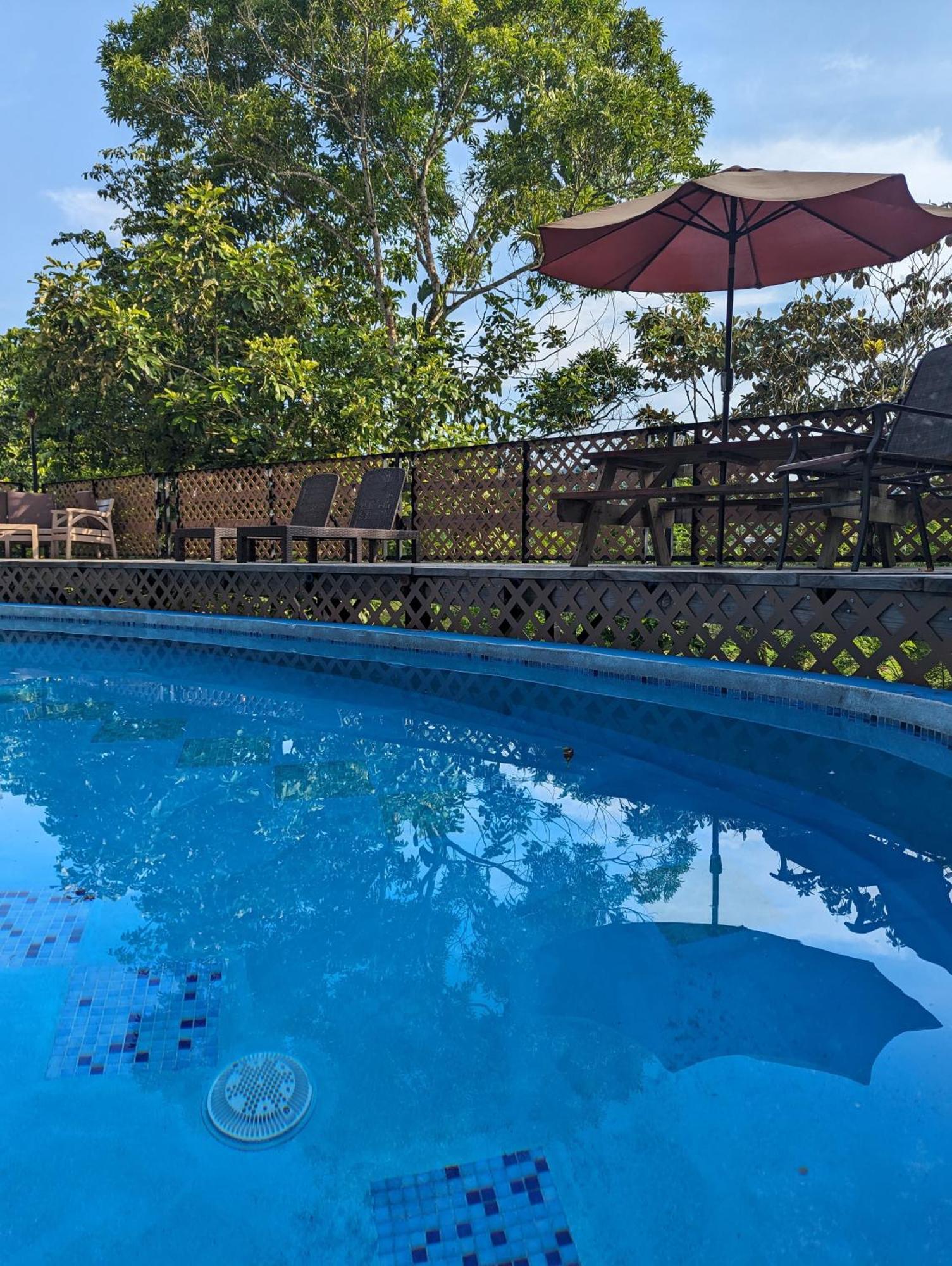 Rainforest Lodge Del Rio Portobelo Exterior foto